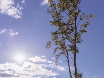 Скамья Эковилладж #4